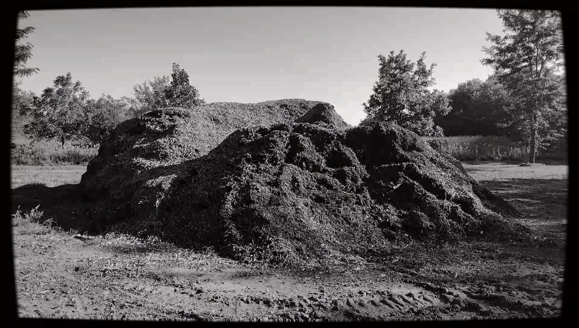 Piles, a film by Sean Welch