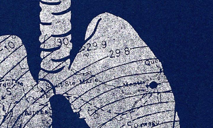 spinal cord and top of lungs against with map markings deep blue background