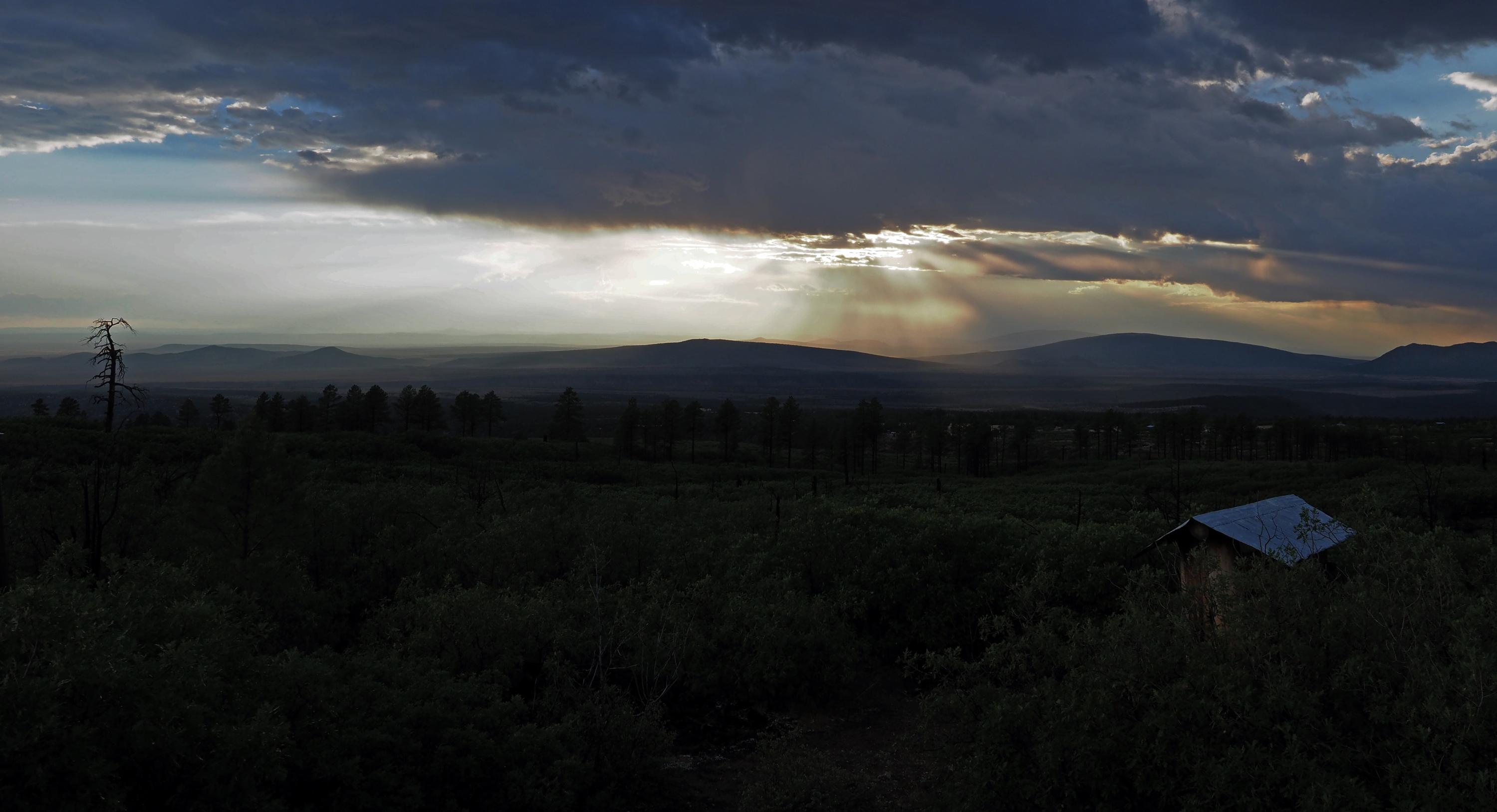 Summer Steward Lama 2018 by Tim Geurkink
