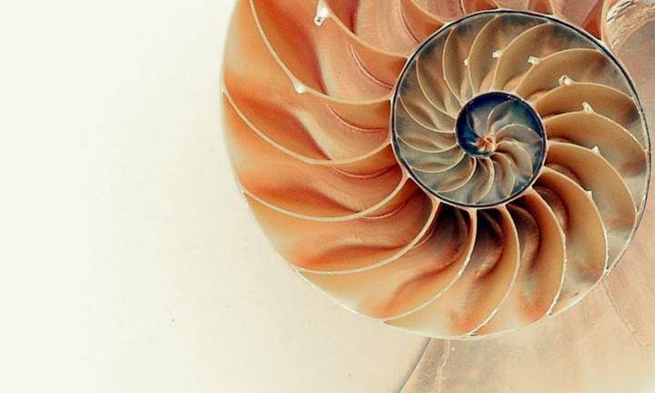Nautilus by Pixabay National Poetry Month