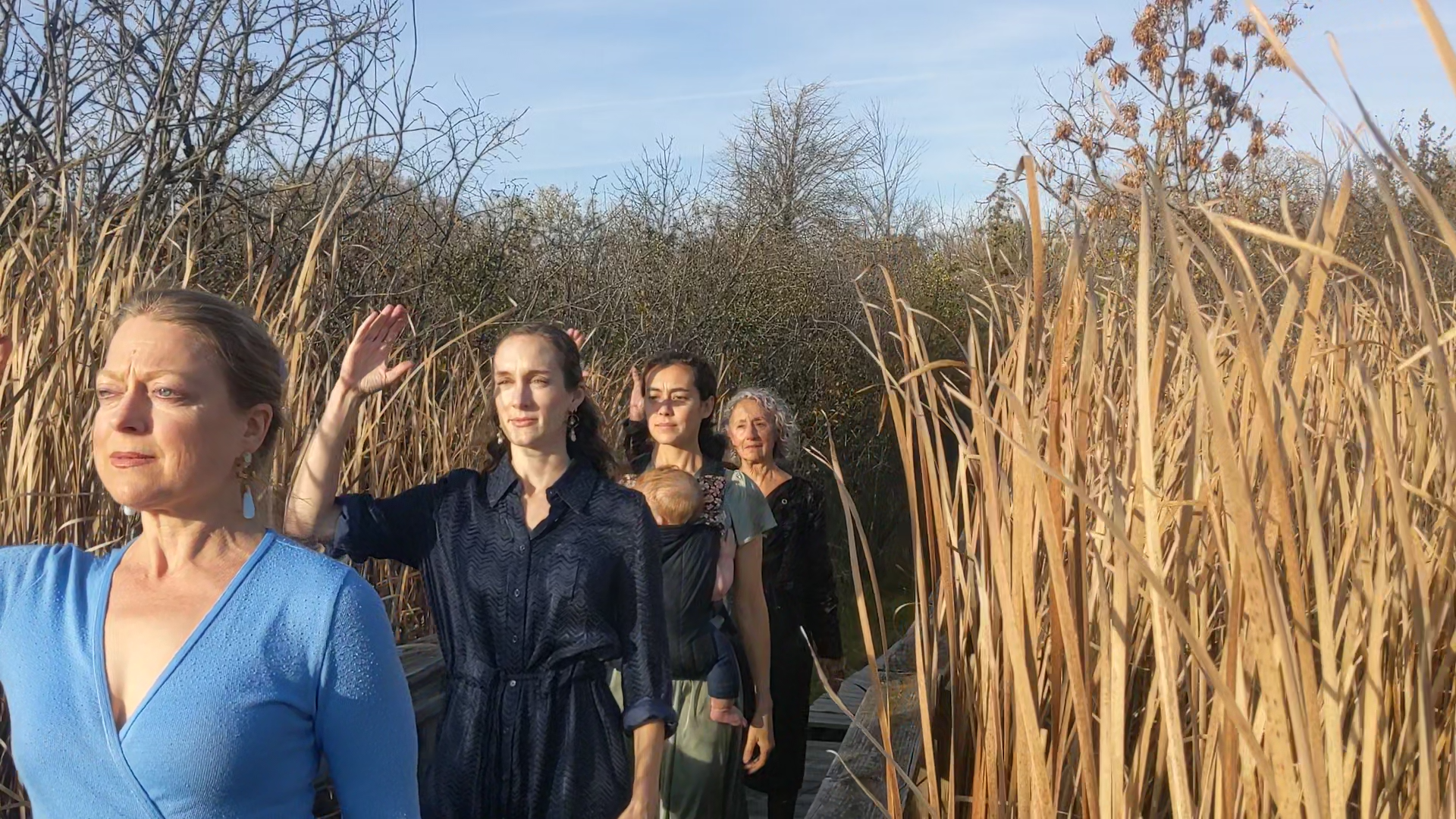 The Nelken Line Three Seasons in Madison by Erica Pinigis