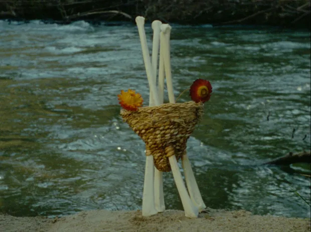 Species of Analogy by J.M. Martínez