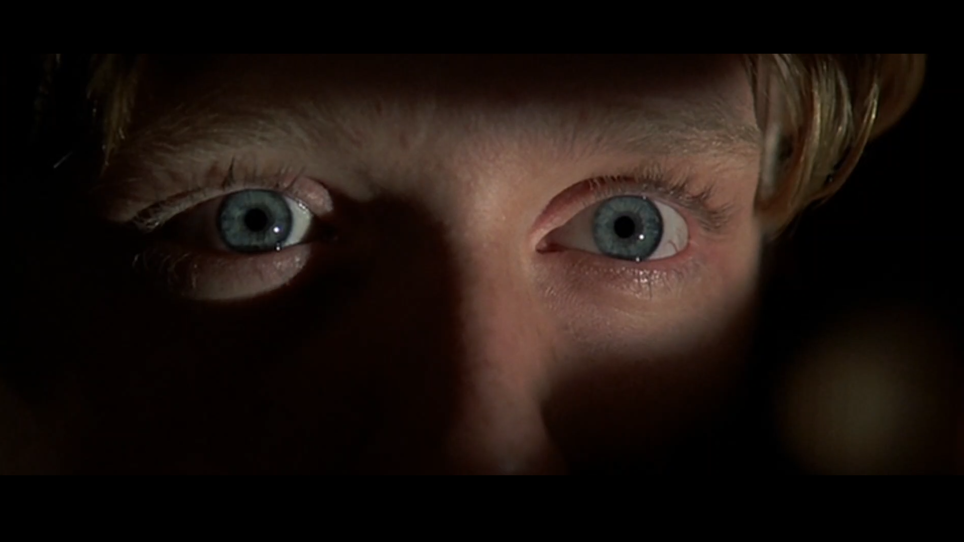 You're Insane!: A Cinematic Collage by Spencer Wise