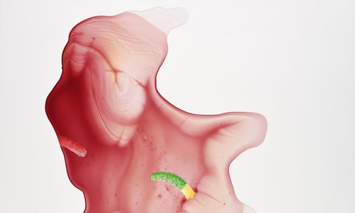 Cavities and Heights, an exhibition by Vesna Jovanovic