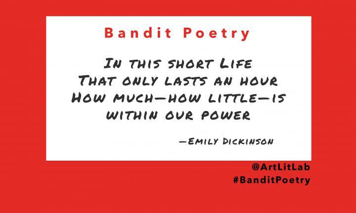 Bandit Poetry sign with Emily Dickinson poem @ArtLitLab #BanditPoetry