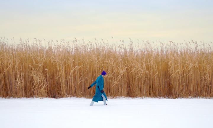 man in blue coat and purple hat walks across a field of snow in front of tall wheat