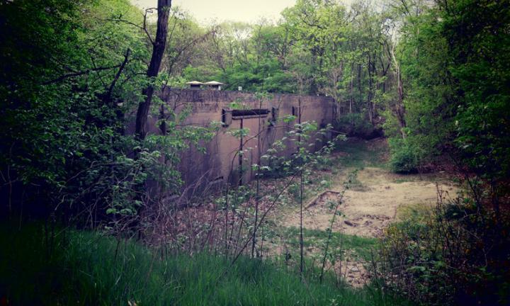 concrete bunker in woods How Do You Read still Midwest Video Poetry Fest