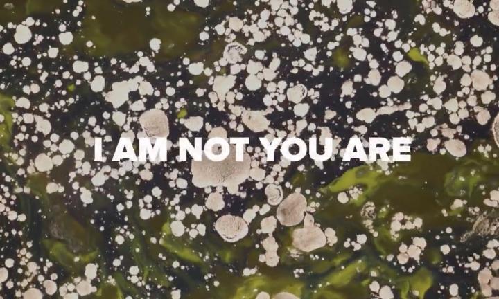 I am not you are still on floating fungus Midwest Video Poetry Fest still