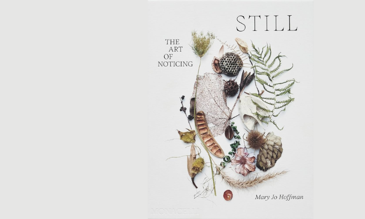 photo of book cover: STILL: The Art of Noticing by Mary Jo Hoffman