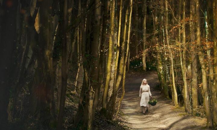 The Nettle Dress, a film by Dylan Howitt