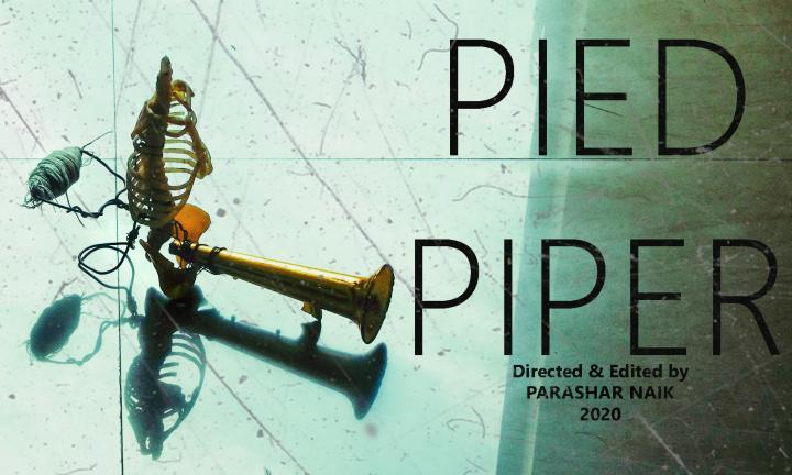 Pied Piper by Parashar Naik Midwest Video Poetry Fest 