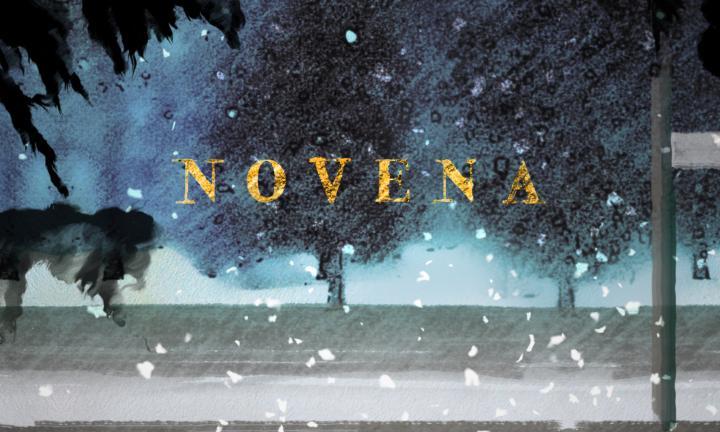 Novena snowy background Midwest Video Poetry Fest