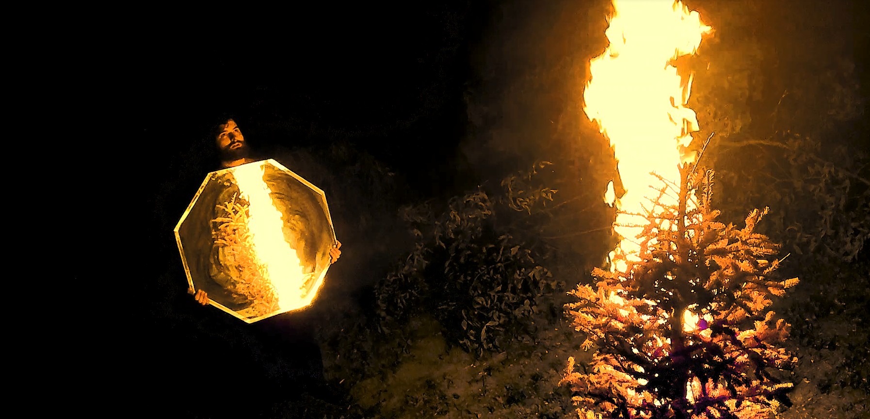 Self Portrait with Burning Tree Spencer Wise